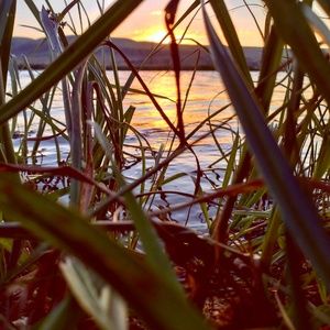 Meet your Posher, Keldon